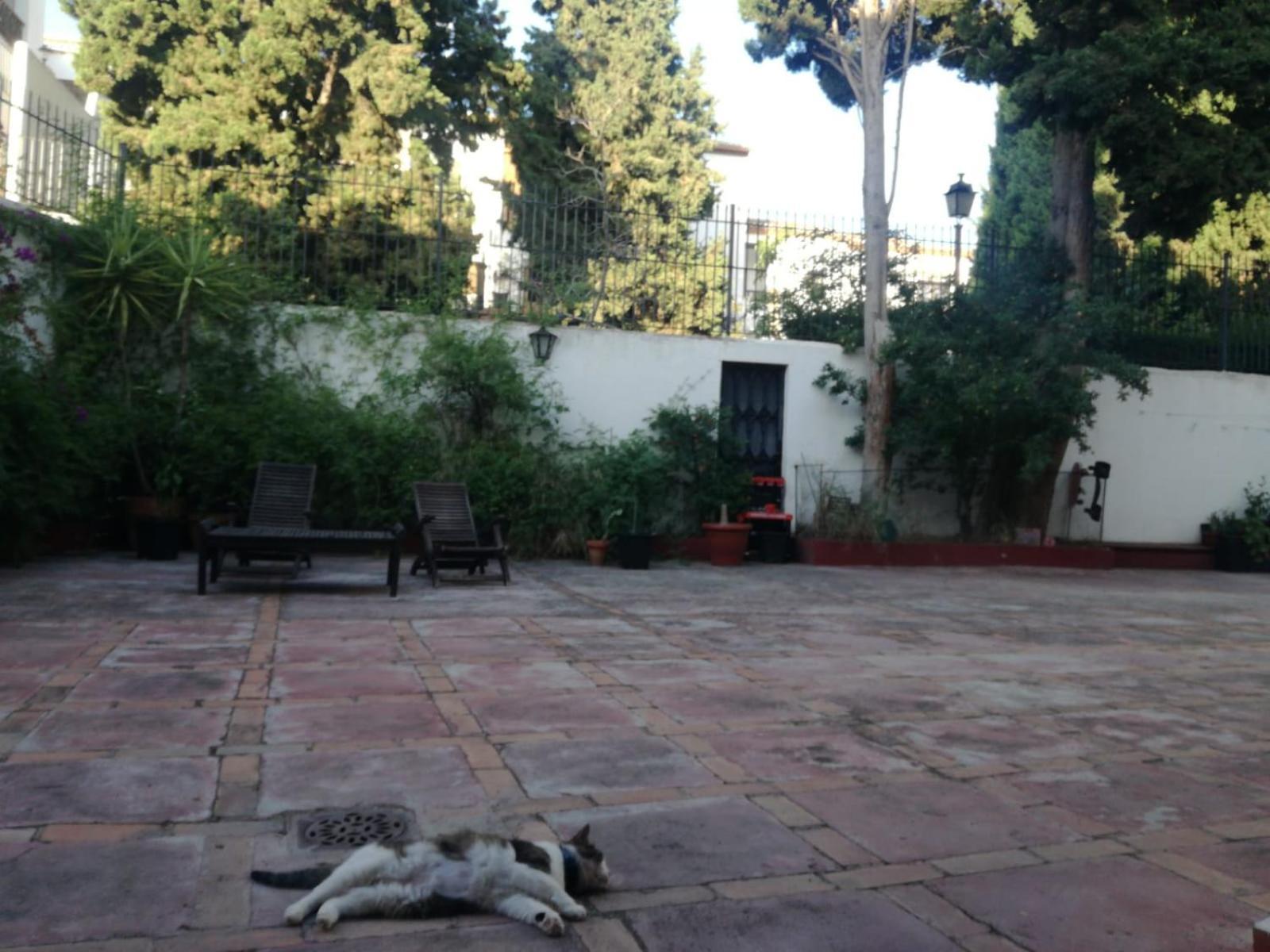 Apartamento Casa Del Agua Granada